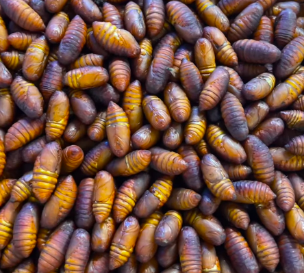 a group of brown objects